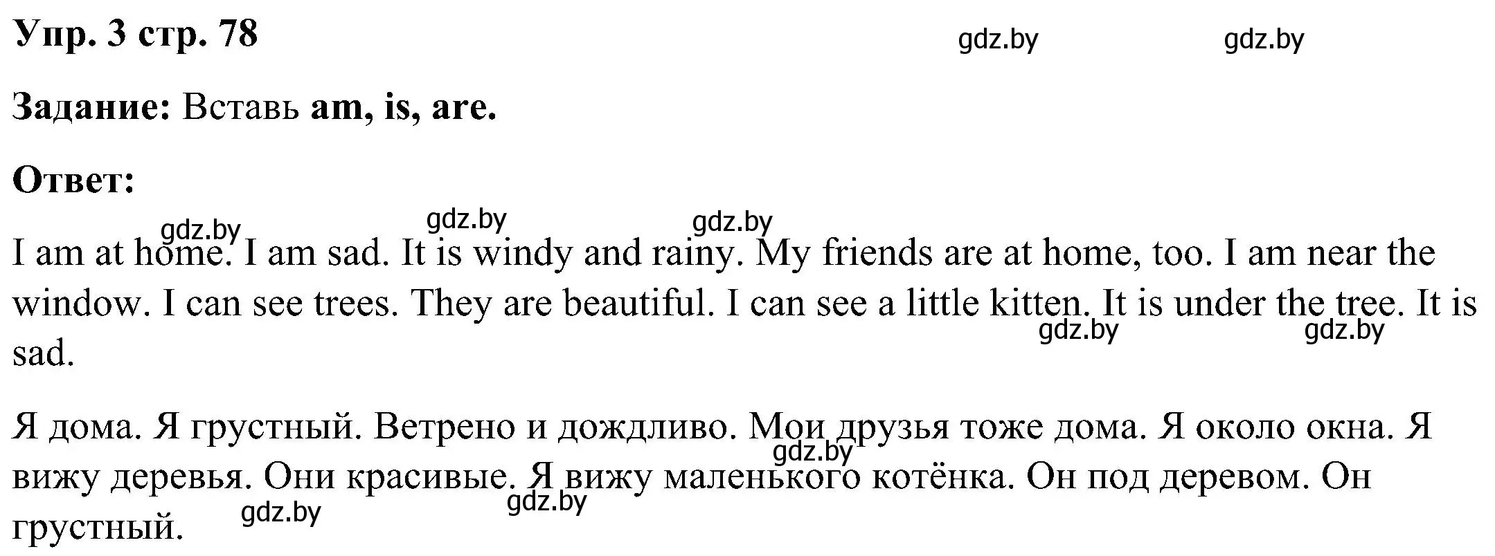 Решение номер 3 (страница 78) гдз по английскому языку 3 класс Лапицкая, Калишевич, практикум 2 часть