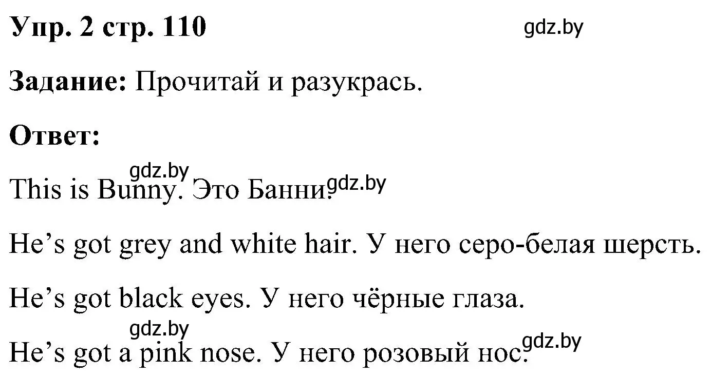 Решение номер 2 (страница 110) гдз по английскому языку 3 класс Лапицкая, Калишевич, практикум 2 часть