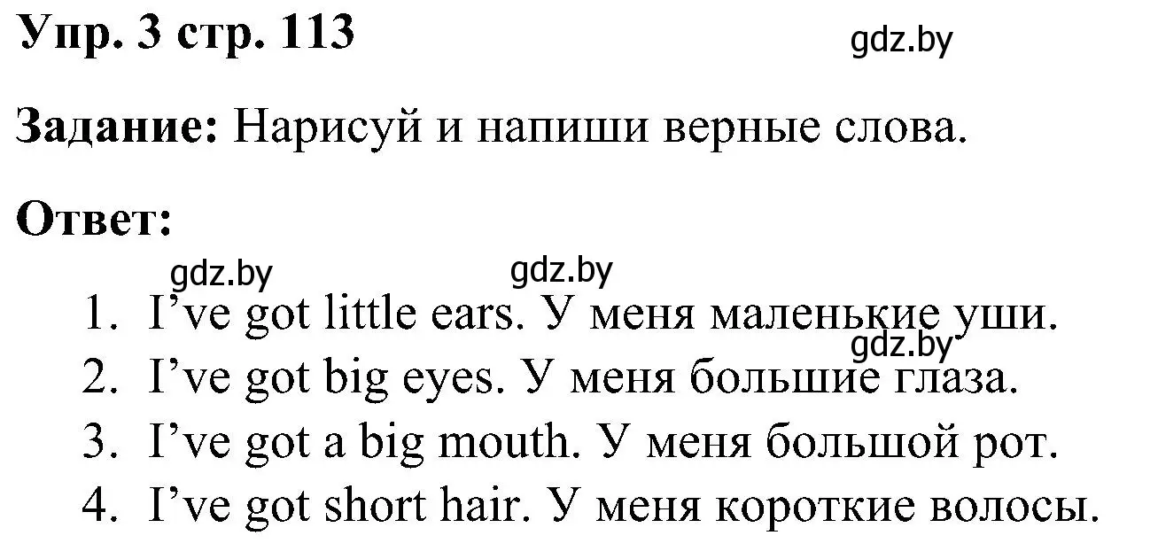 Решение номер 3 (страница 113) гдз по английскому языку 3 класс Лапицкая, Калишевич, практикум 2 часть