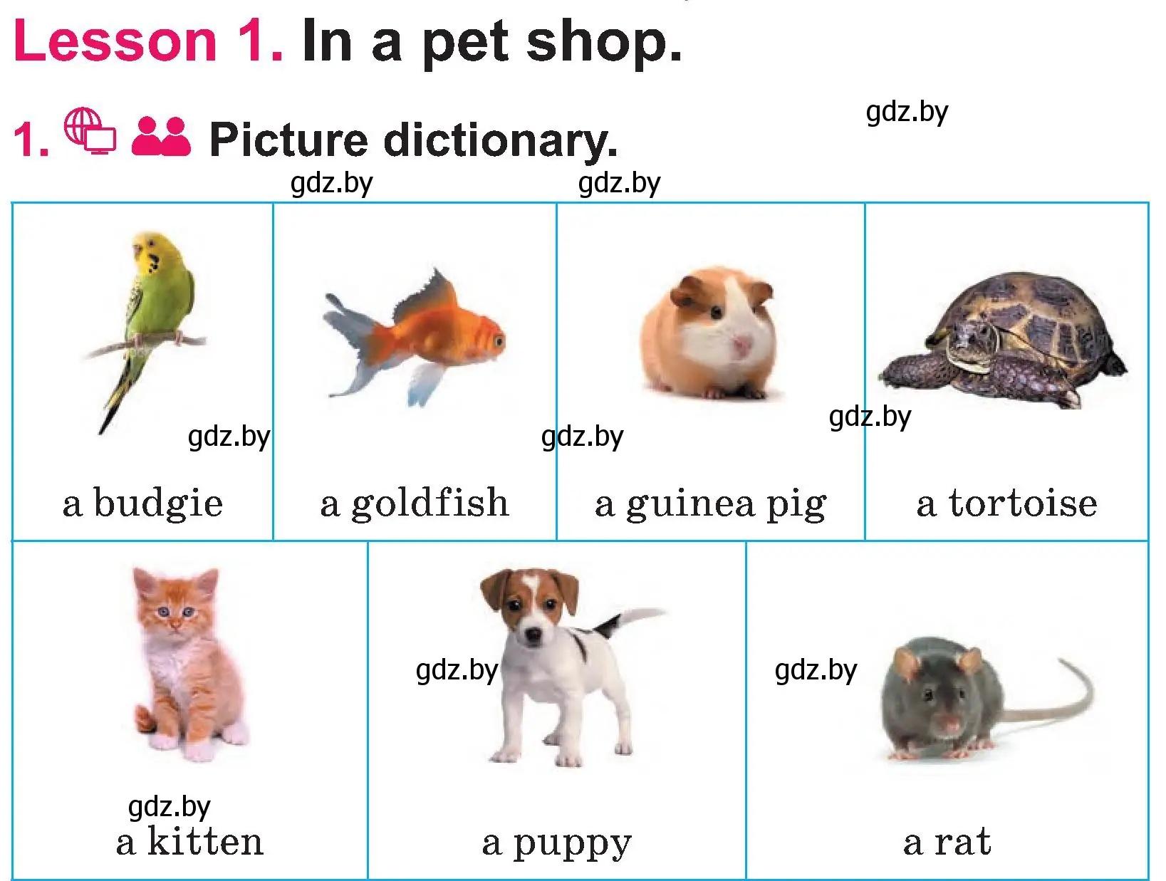 Pet 2 английский. Карточки Pets. Карточки Pets на английском. Карточки с английскими словами Pet питомец. Pets Англии.