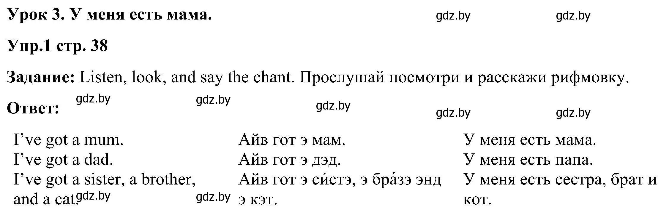 Решение номер 1 (страница 38) гдз по английскому языку 3 класс Лапицкая, Калишевич, учебник 1 часть