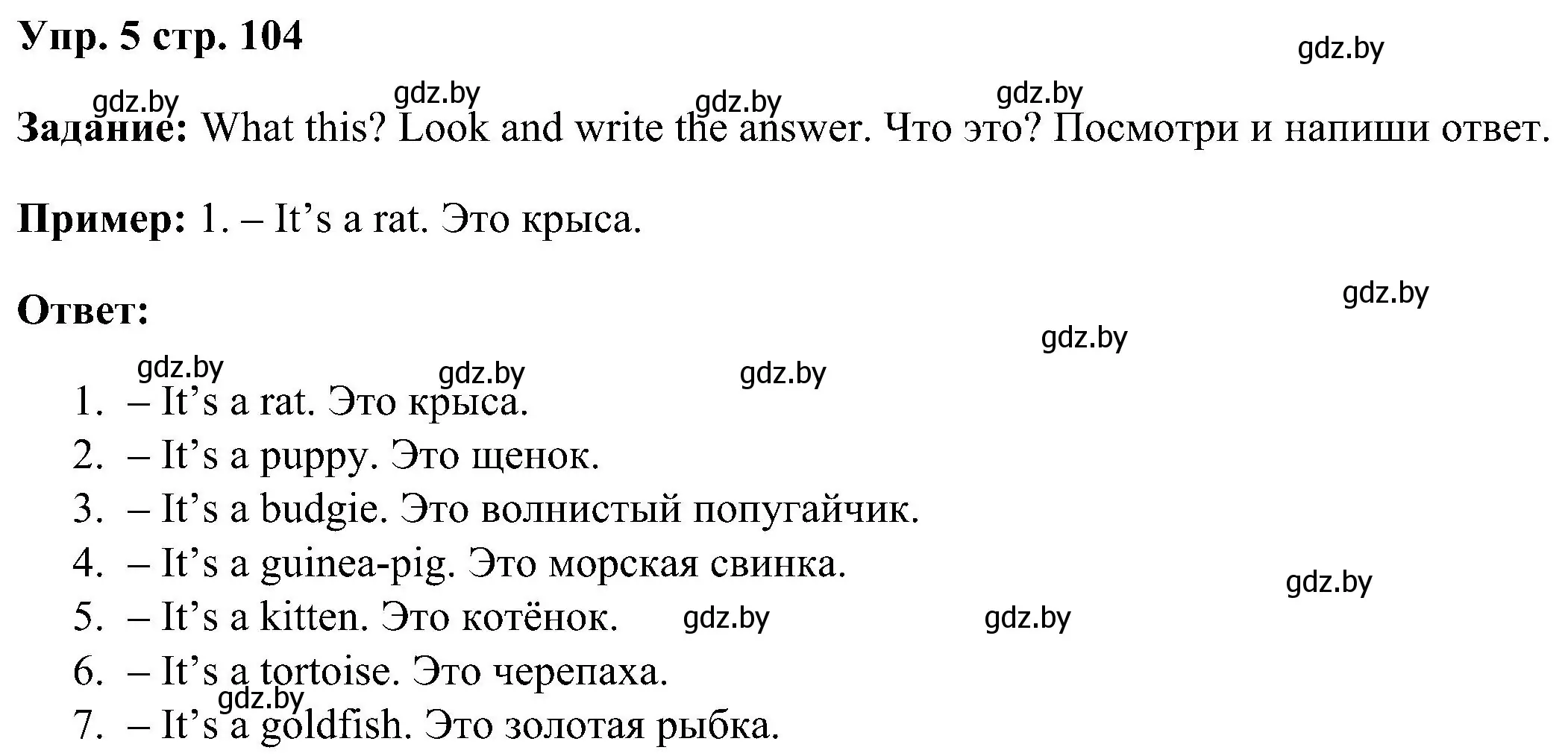 Решение номер 5 (страница 104) гдз по английскому языку 3 класс Лапицкая, Калишевич, учебник 1 часть