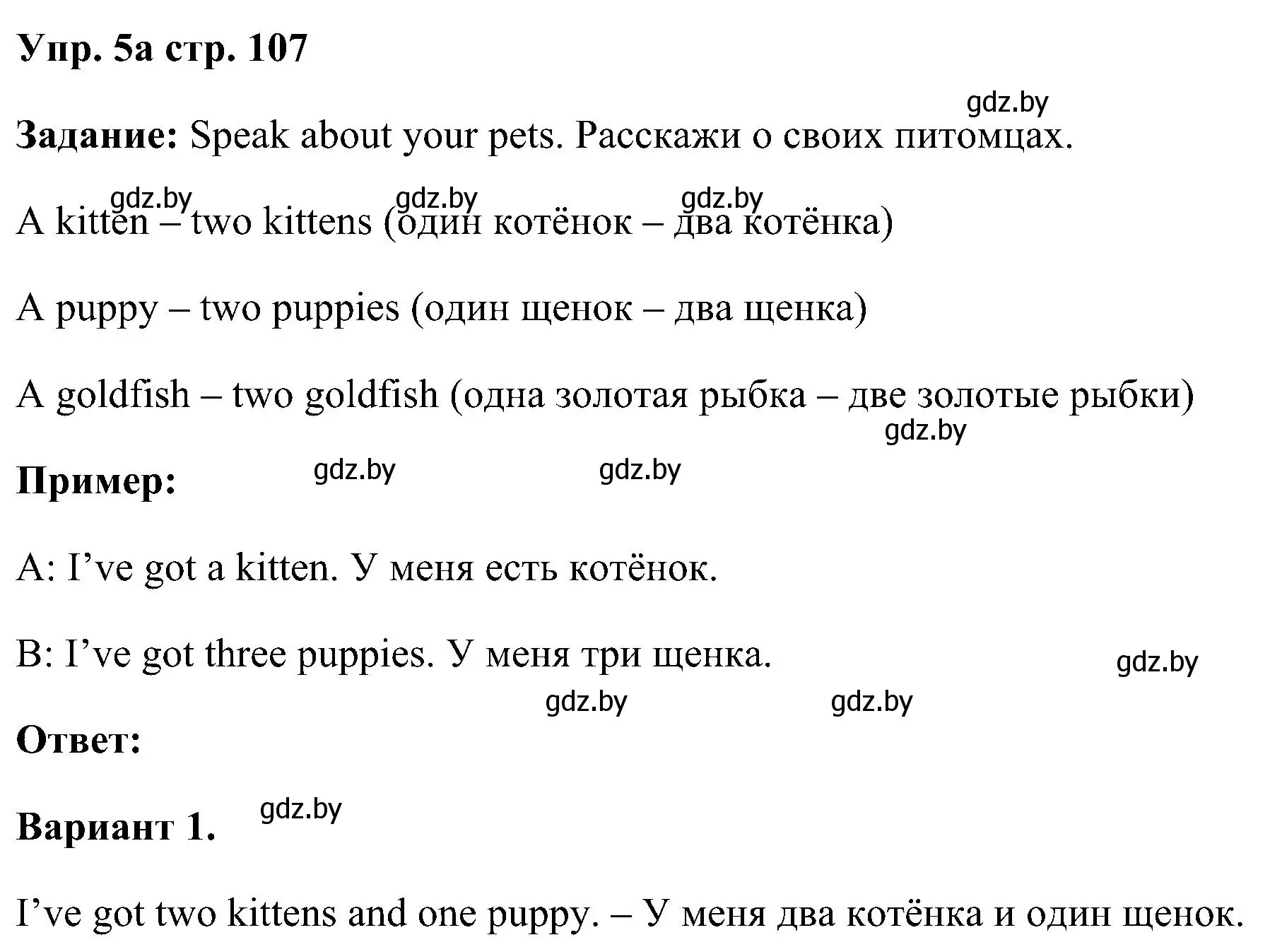 Решение номер 5 (страница 107) гдз по английскому языку 3 класс Лапицкая, Калишевич, учебник 1 часть