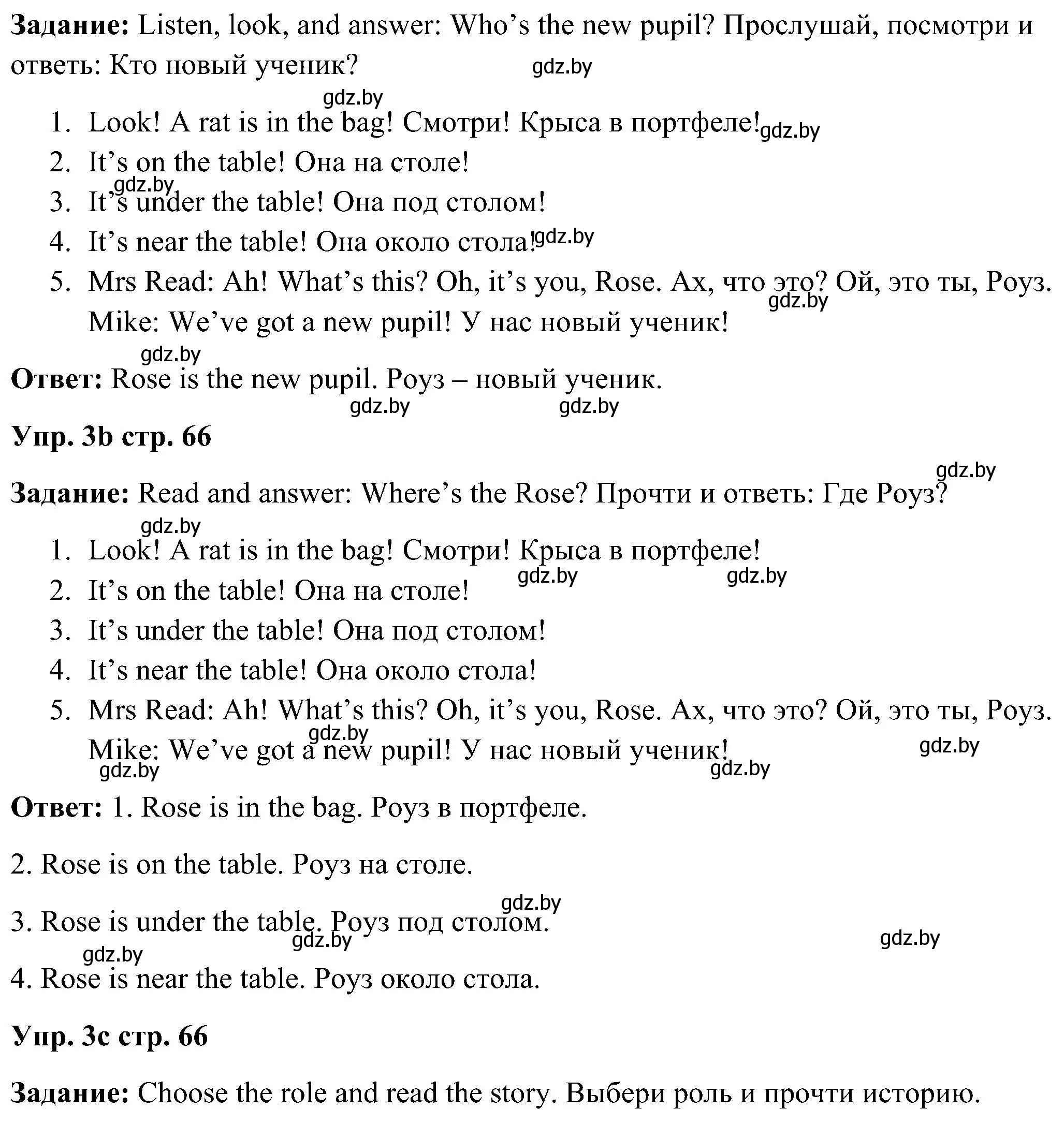 Решение номер 3 (страница 66) гдз по английскому языку 3 класс Лапицкая, Калишевич, учебник 2 часть