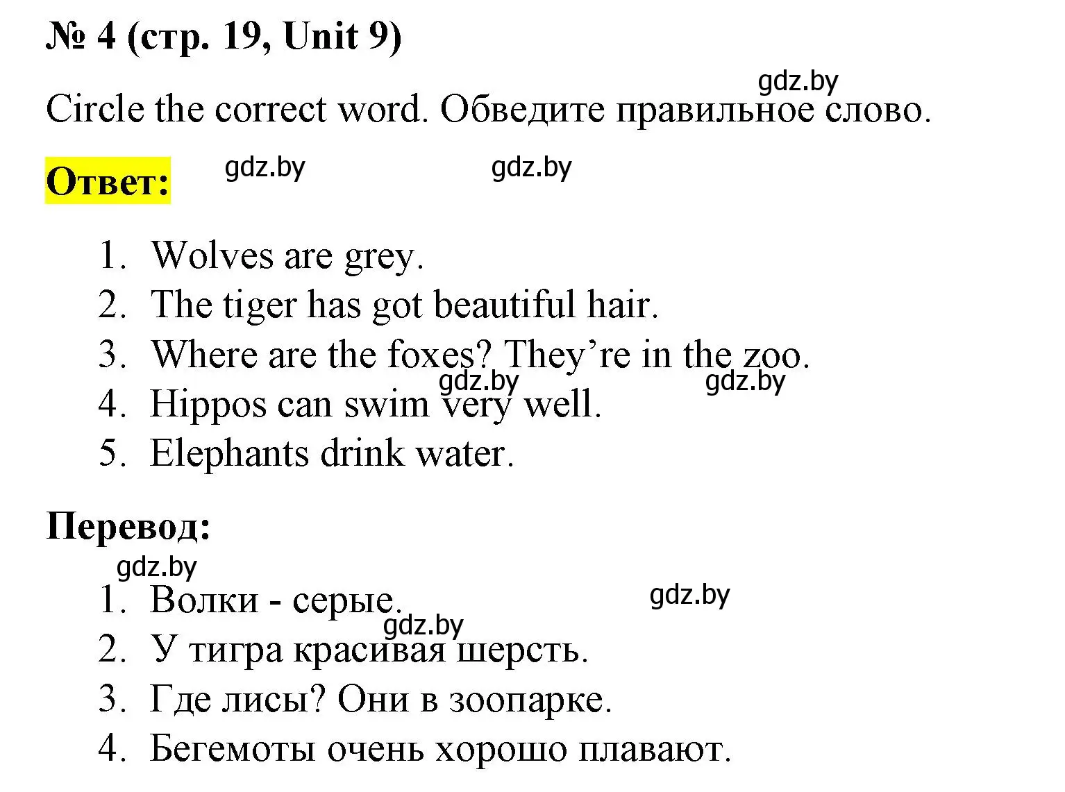 Решение номер 4 (страница 19) гдз по английскому языку 3 класс Севрюкова, тесты