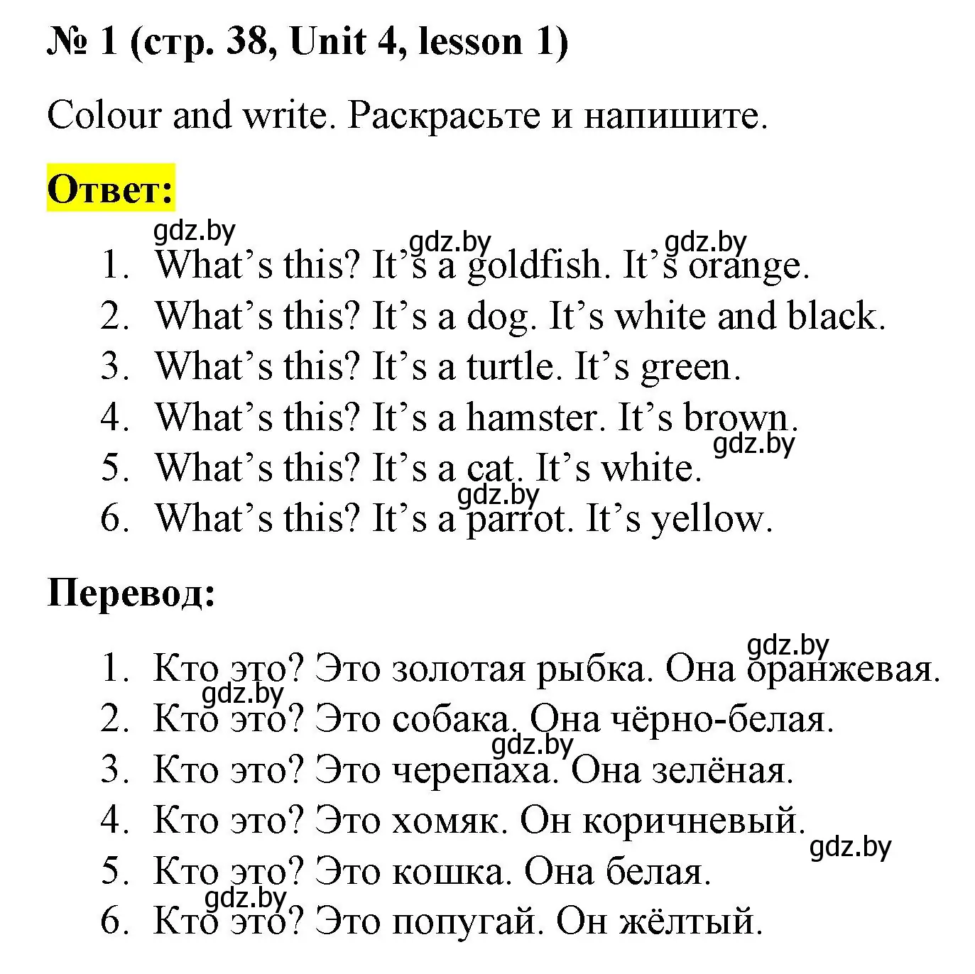 Решение номер 1 (страница 38) гдз по английскому языку 3 класс Севрюкова, практикум по грамматике