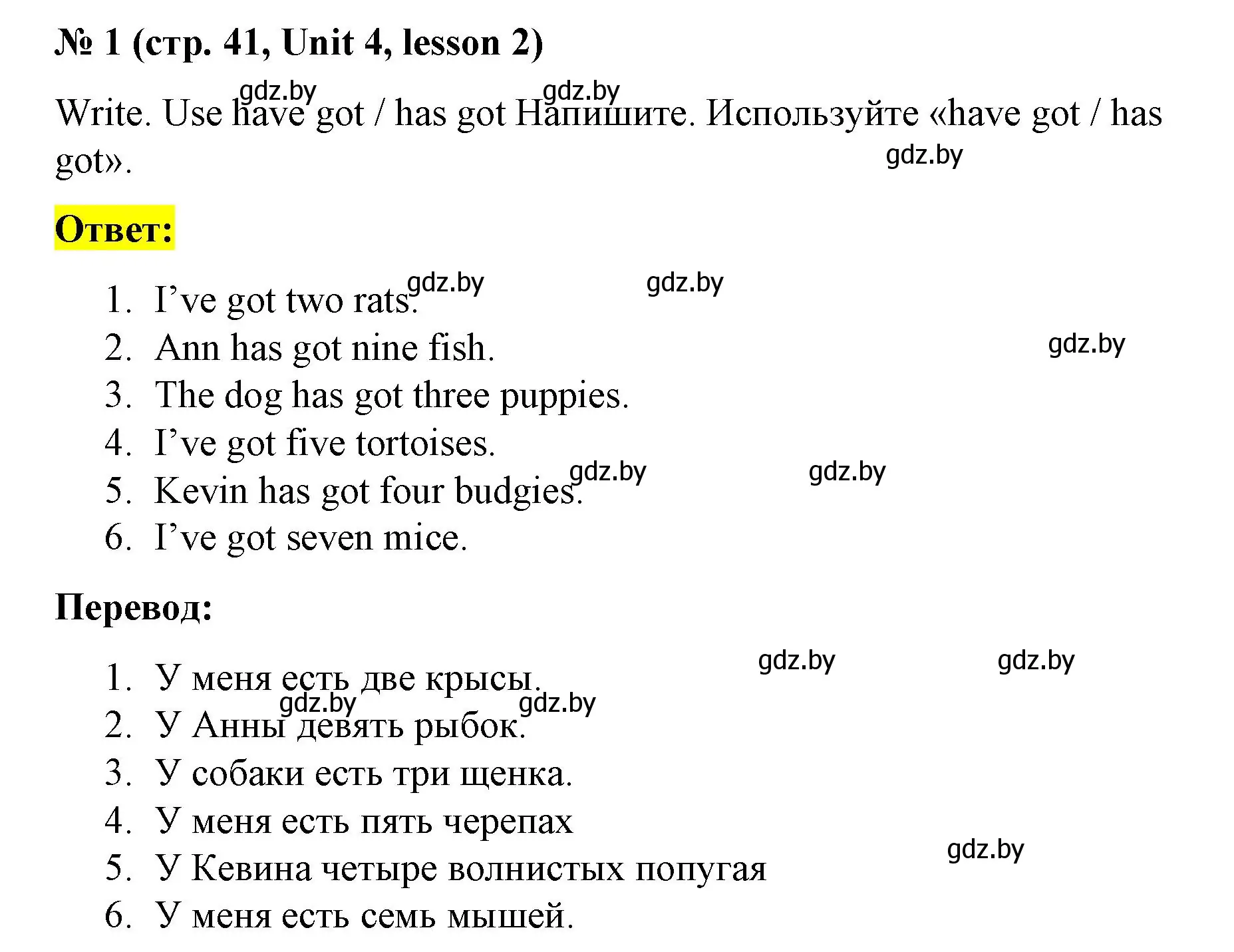 Решение номер 1 (страница 41) гдз по английскому языку 3 класс Севрюкова, практикум по грамматике