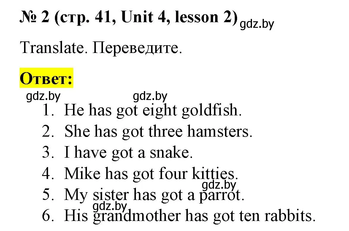 Решение номер 2 (страница 41) гдз по английскому языку 3 класс Севрюкова, практикум по грамматике