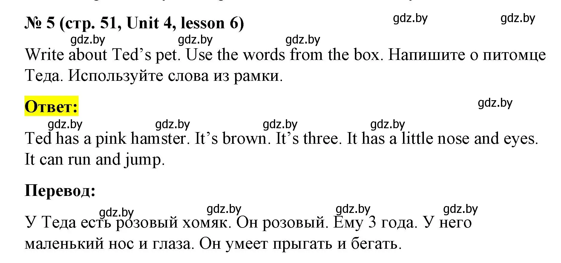 Решение номер 5 (страница 51) гдз по английскому языку 3 класс Севрюкова, практикум по грамматике