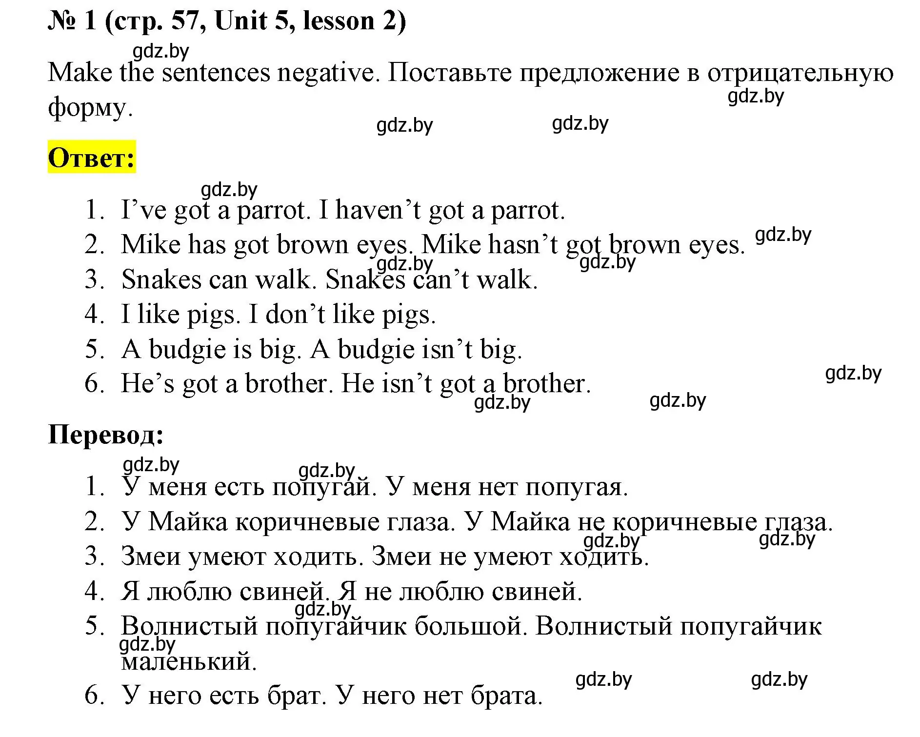 Решение номер 1 (страница 57) гдз по английскому языку 3 класс Севрюкова, практикум по грамматике