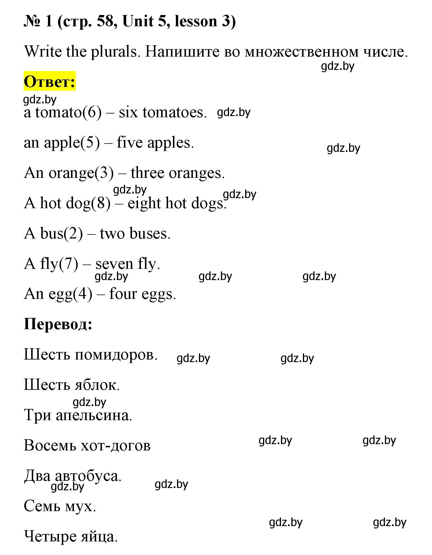 Решение номер 1 (страница 58) гдз по английскому языку 3 класс Севрюкова, практикум по грамматике