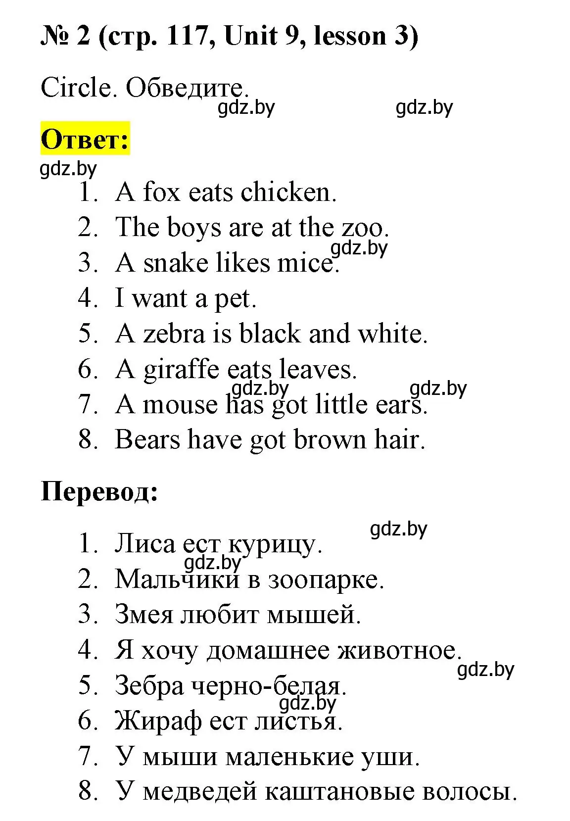 Решение номер 2 (страница 117) гдз по английскому языку 3 класс Севрюкова, практикум по грамматике