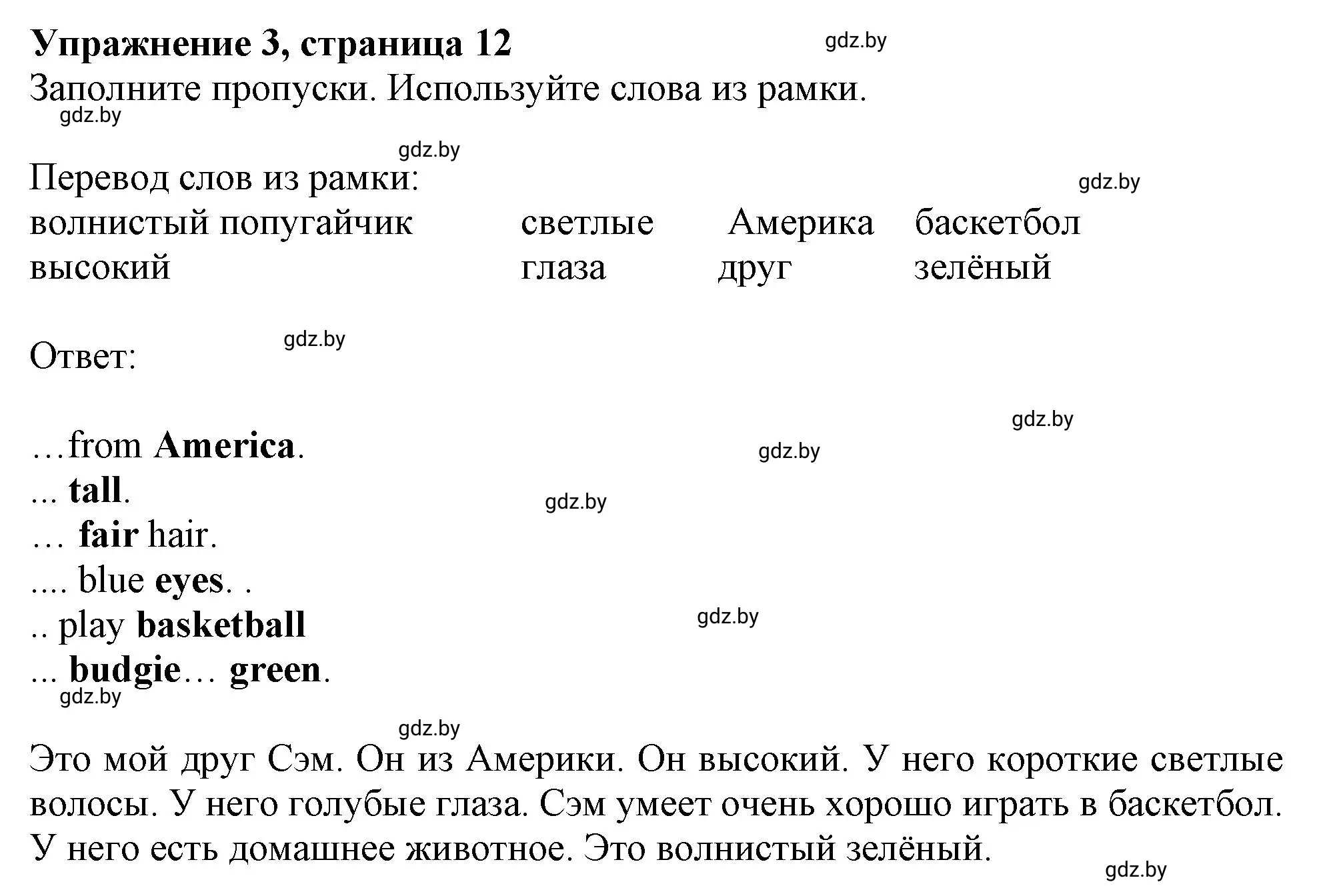 Решение номер 3 (страница 12) гдз по английскому языку 4 класс Лапицкая, Калишевич, рабочая тетрадь