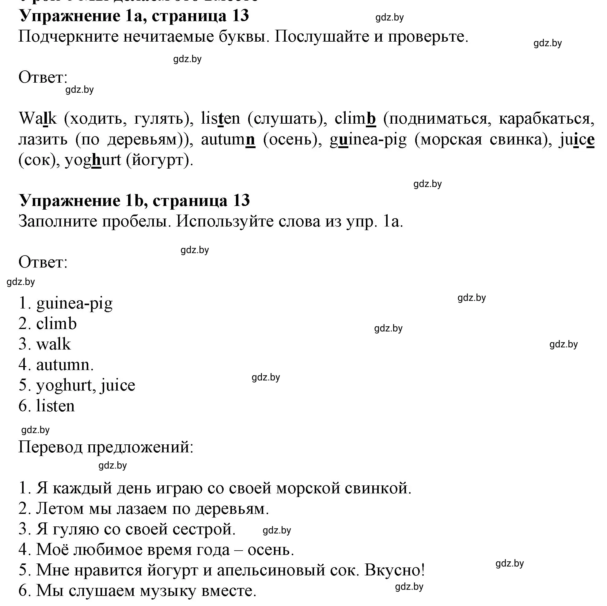 Решение номер 1 (страница 13) гдз по английскому языку 4 класс Лапицкая, Калишевич, рабочая тетрадь