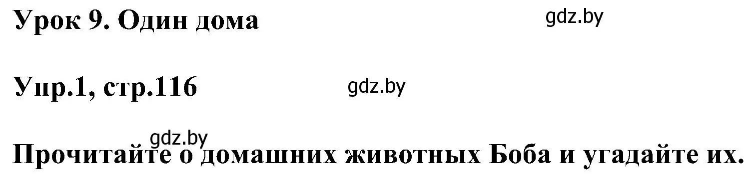 Решение номер 1 (страница 116) гдз по английскому языку 4 класс Лапицкая, Седунова, учебник 1 часть