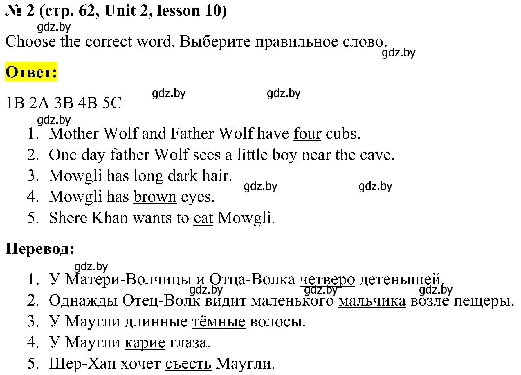 Решение 2. номер 2 (страница 62) гдз по английскому языку 4 класс Лапицкая, Седунова, учебник 1 часть