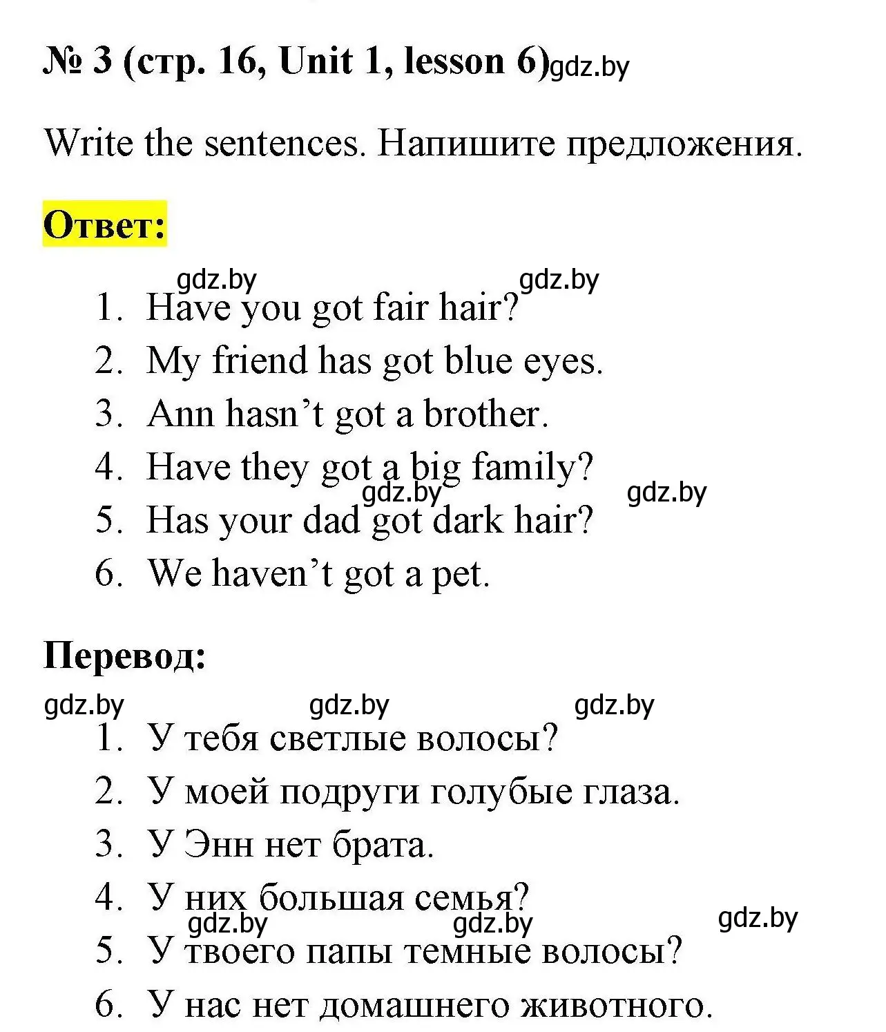 Решение номер 3 (страница 16) гдз по английскому языку 4 класс Севрюкова, практикум по грамматике