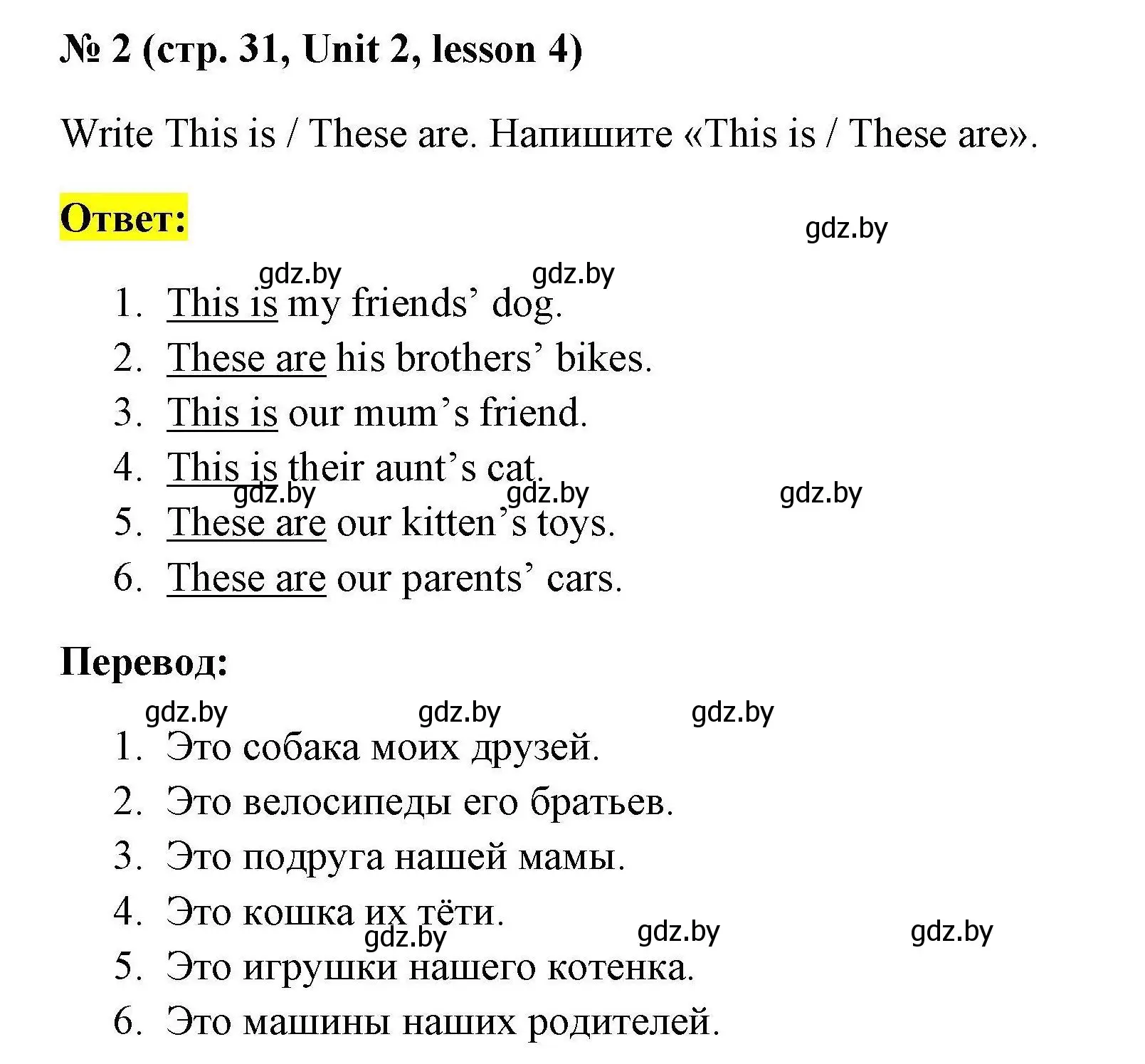 Решение номер 2 (страница 31) гдз по английскому языку 4 класс Севрюкова, практикум по грамматике