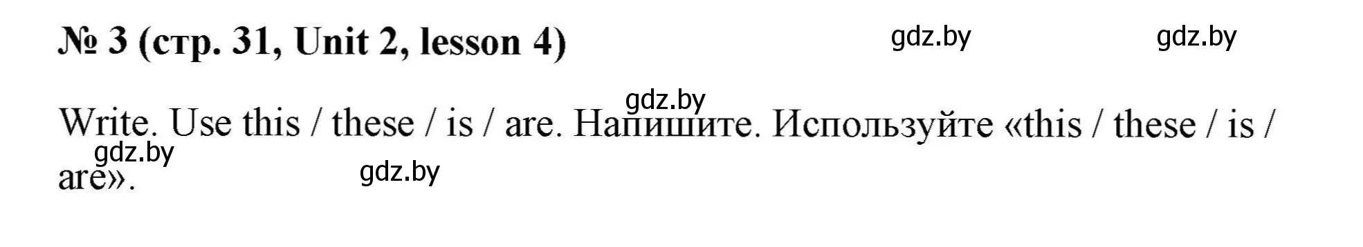 Решение номер 3 (страница 31) гдз по английскому языку 4 класс Севрюкова, практикум по грамматике