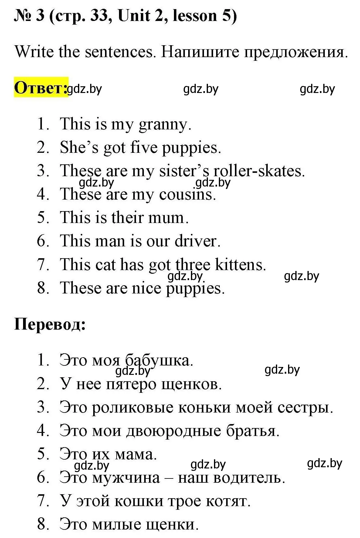 Решение номер 3 (страница 33) гдз по английскому языку 4 класс Севрюкова, практикум по грамматике