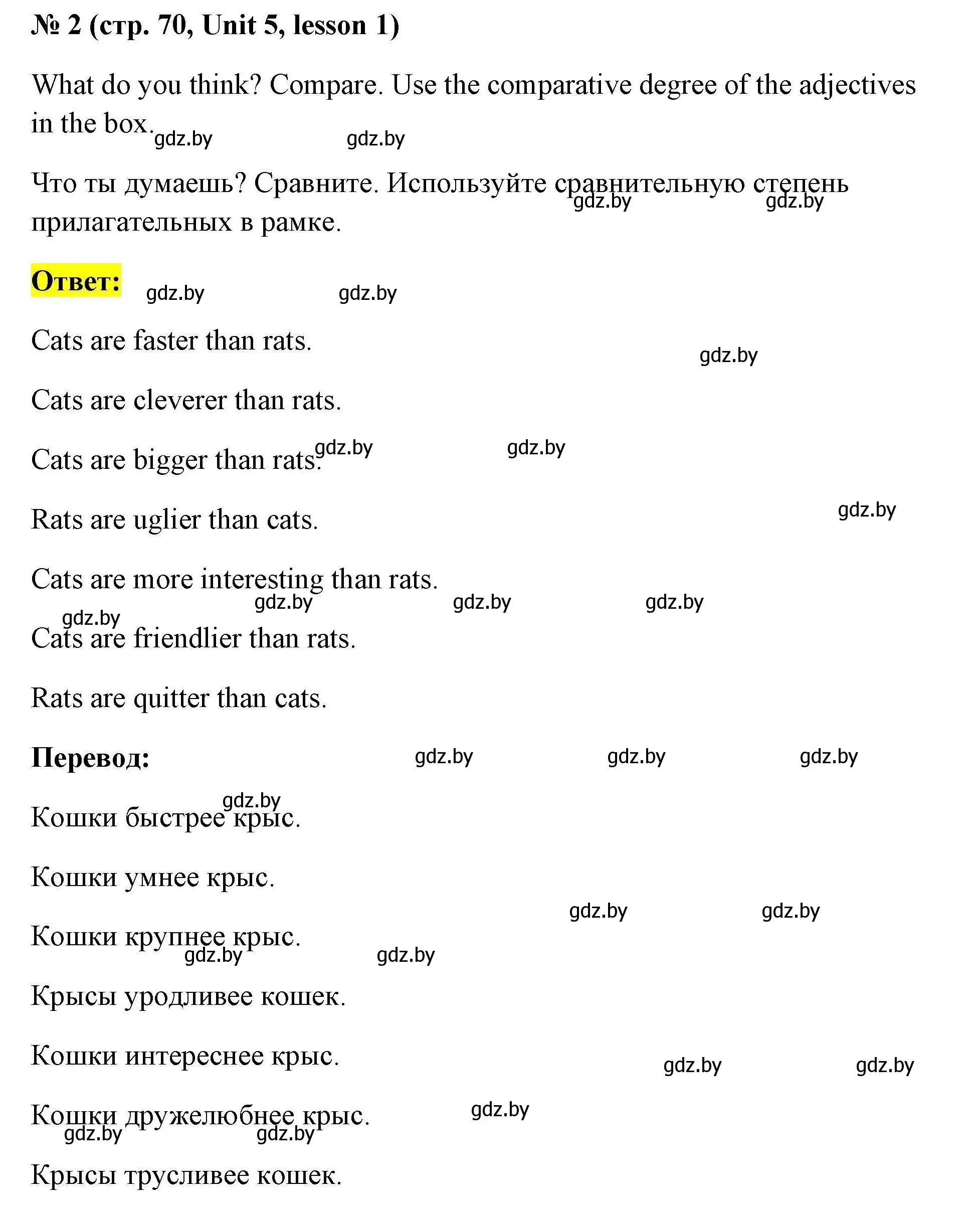 Решение номер 2 (страница 70) гдз по английскому языку 4 класс Севрюкова, практикум по грамматике