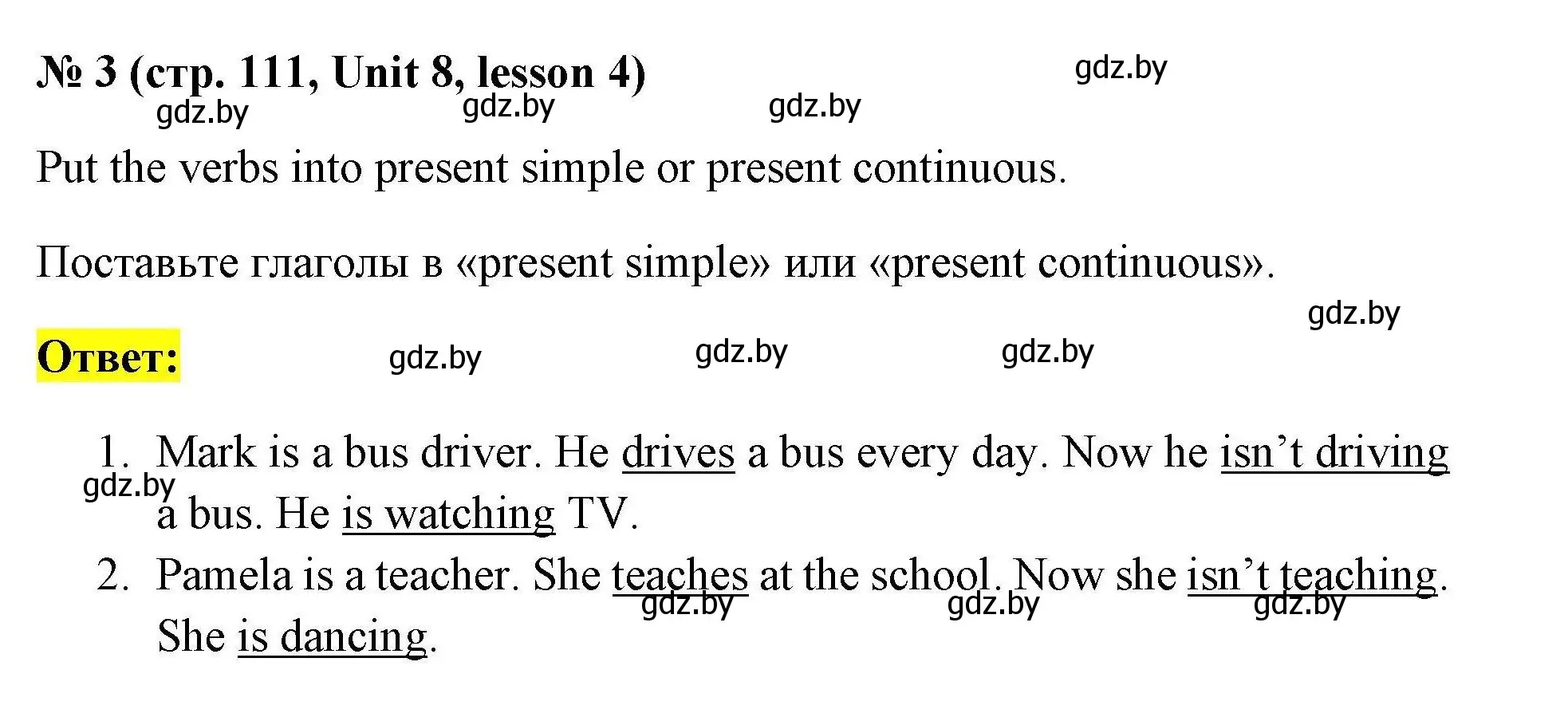 Решение номер 3 (страница 111) гдз по английскому языку 4 класс Севрюкова, практикум по грамматике