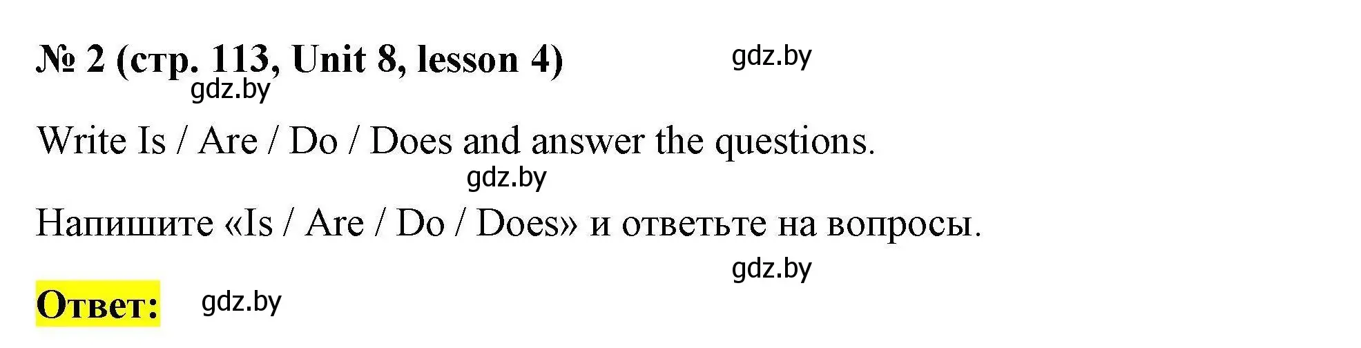 Решение номер 2 (страница 113) гдз по английскому языку 4 класс Севрюкова, практикум по грамматике