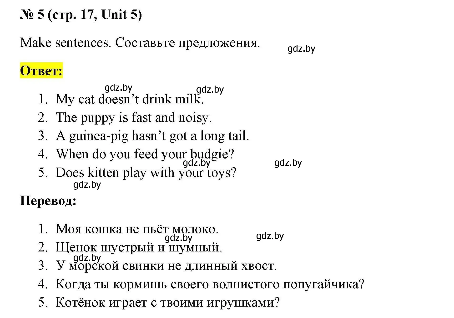 Решение номер 5 (страница 17) гдз по английскому языку 4 класс Севрюкова, тесты