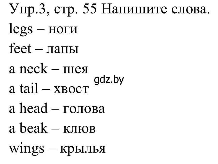 Решение номер 3 (страница 55) гдз по английскому языку 5 класс Демченко, Севрюкова, рабочая тетрадь 2 часть