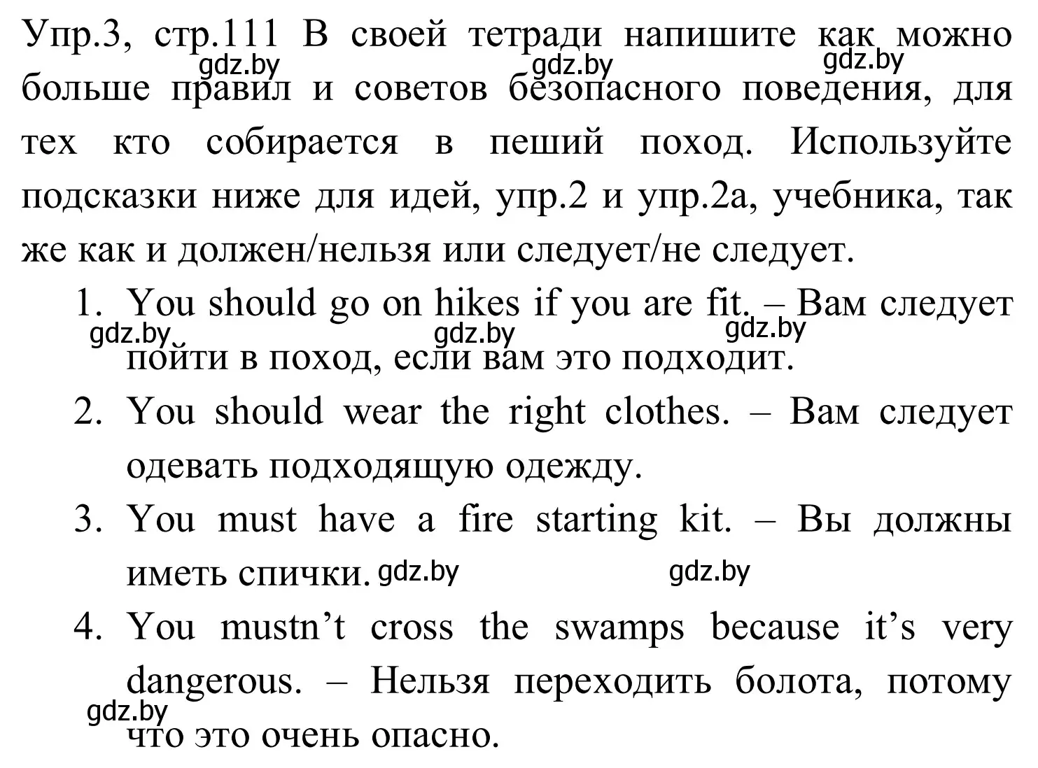 Решение номер 3 (страница 111) гдз по английскому языку 5 класс Демченко, Севрюкова, рабочая тетрадь 2 часть