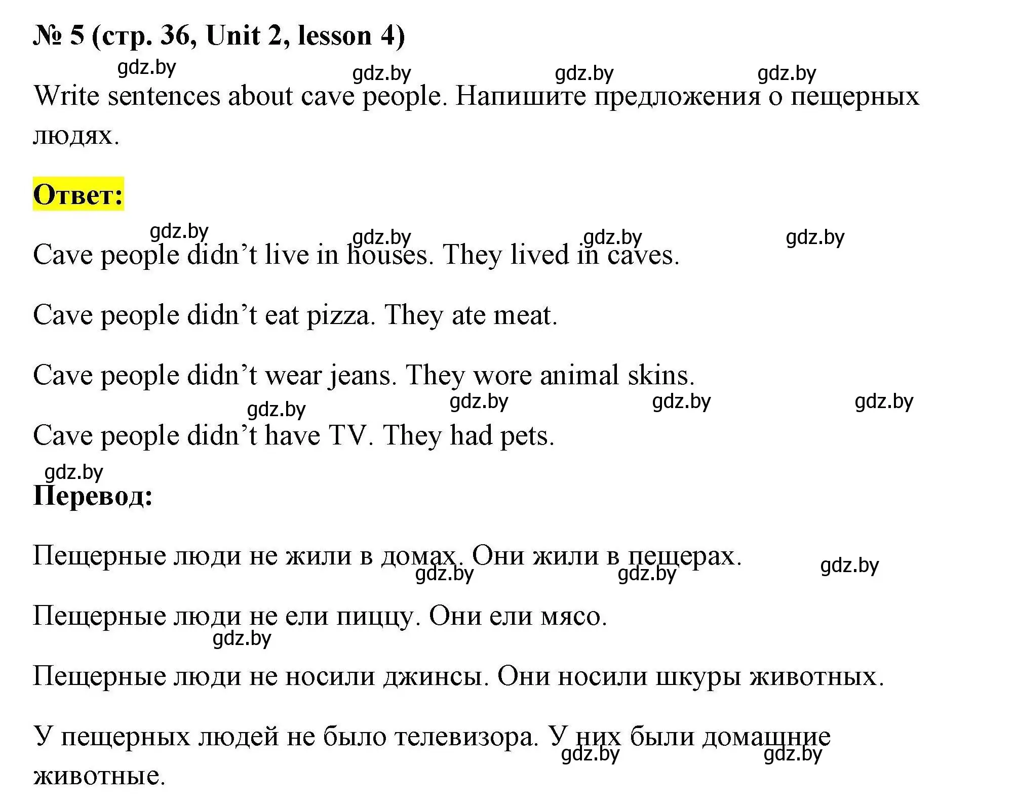 Решение номер 5 (страница 36) гдз по английскому языку 5 класс Лапицкая, Калишевич, рабочая тетрадь 1 часть