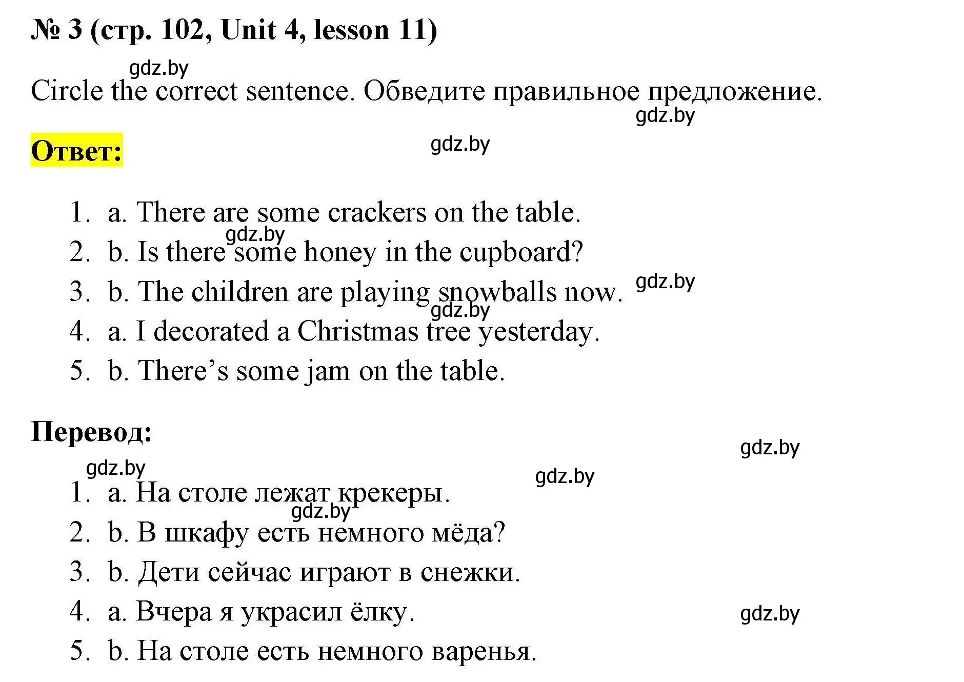 Решение номер 3 (страница 102) гдз по английскому языку 5 класс Лапицкая, Калишевич, рабочая тетрадь 1 часть