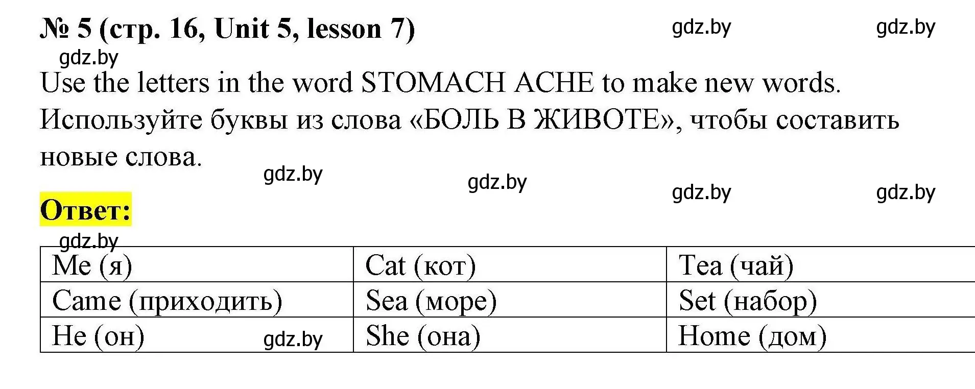 Решение номер 5 (страница 16) гдз по английскому языку 5 класс Лапицкая, Калишевич, рабочая тетрадь 2 часть