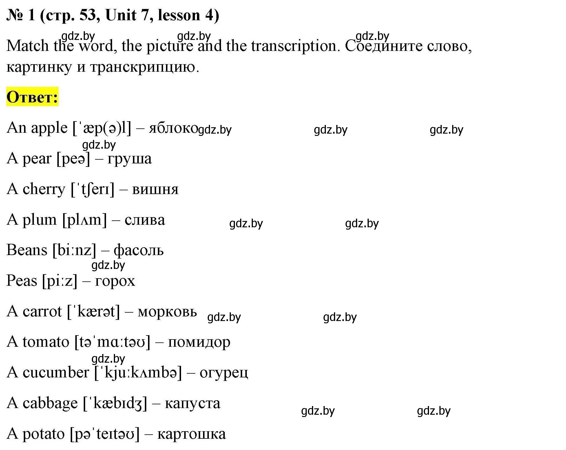 Решение номер 1 (страница 53) гдз по английскому языку 5 класс Лапицкая, Калишевич, рабочая тетрадь 2 часть