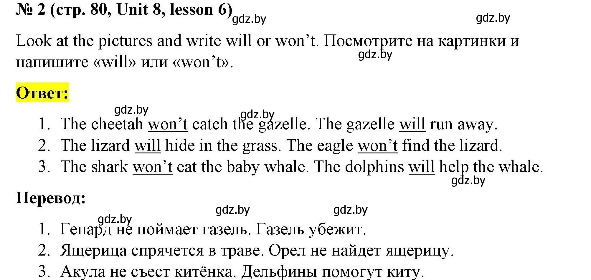 Решение номер 2 (страница 80) гдз по английскому языку 5 класс Лапицкая, Калишевич, рабочая тетрадь 2 часть