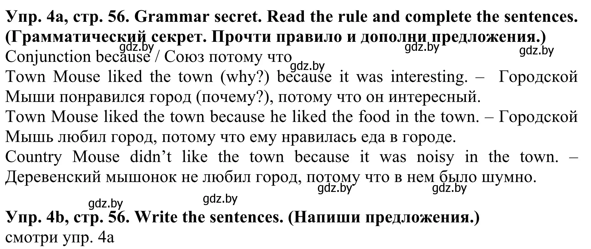 Решение номер 4 (страница 56) гдз по английскому языку 5 класс Лапицкая, Калишевич, учебник 2 часть