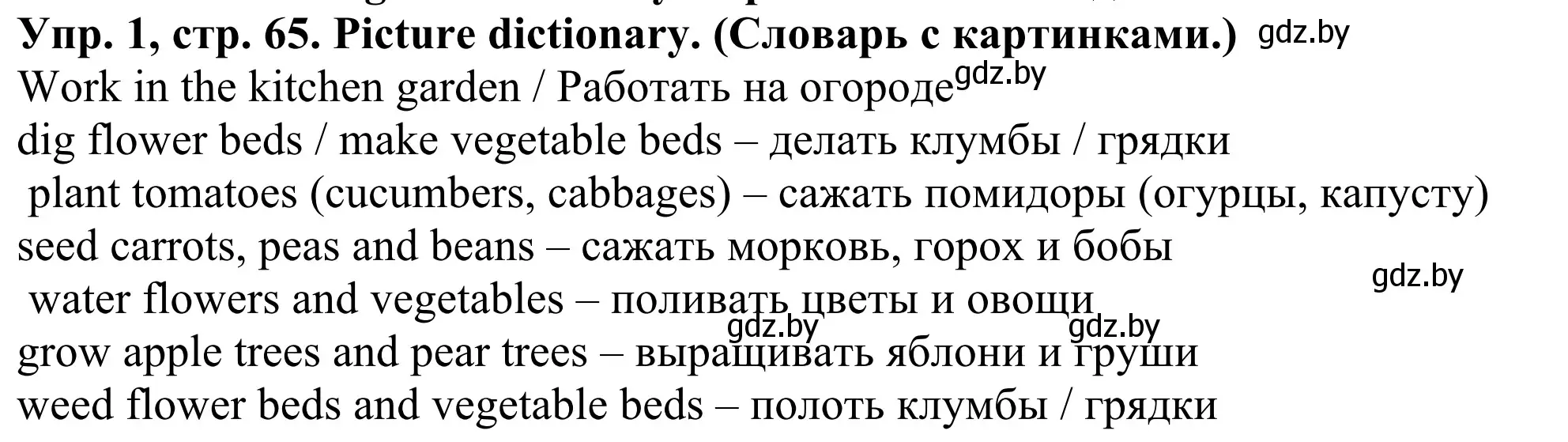 Решение номер 1 (страница 65) гдз по английскому языку 5 класс Лапицкая, Калишевич, учебник 2 часть