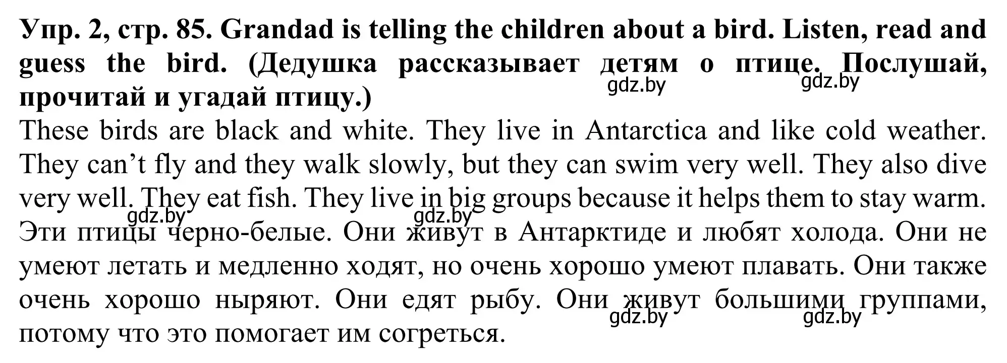 Решение номер 2 (страница 85) гдз по английскому языку 5 класс Лапицкая, Калишевич, учебник 2 часть