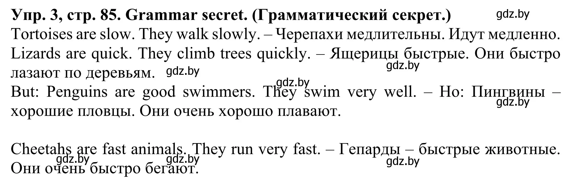 Решение номер 3 (страница 85) гдз по английскому языку 5 класс Лапицкая, Калишевич, учебник 2 часть