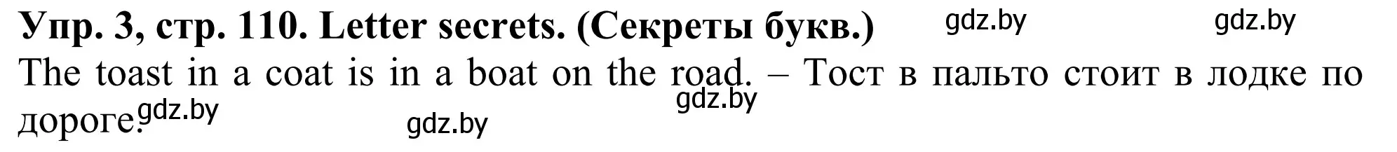 Решение номер 3 (страница 110) гдз по английскому языку 5 класс Лапицкая, Калишевич, учебник 2 часть