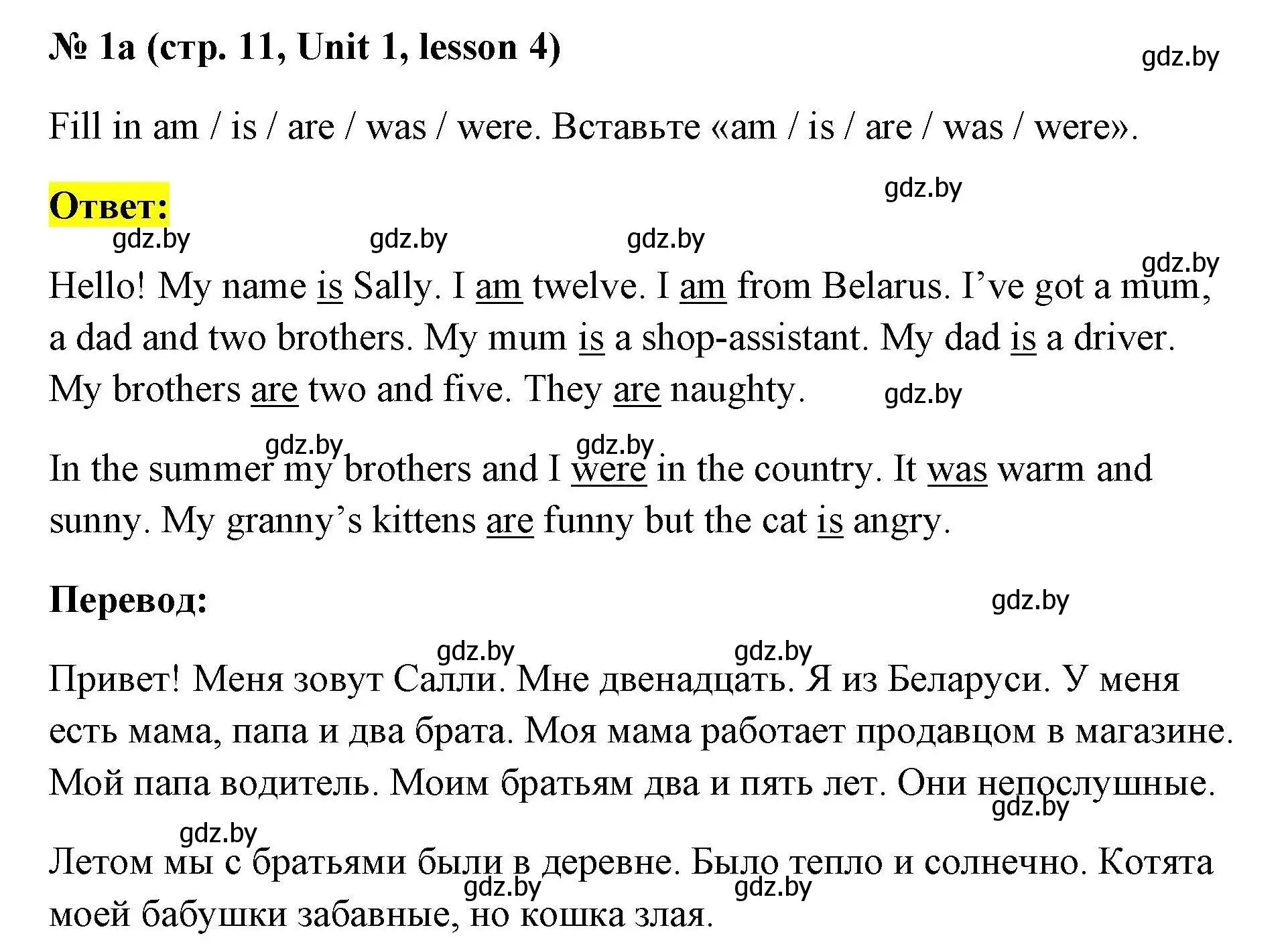 Решение номер 1a (страница 11) гдз по английскому языку 5 класс Севрюкова, практикум по грамматике