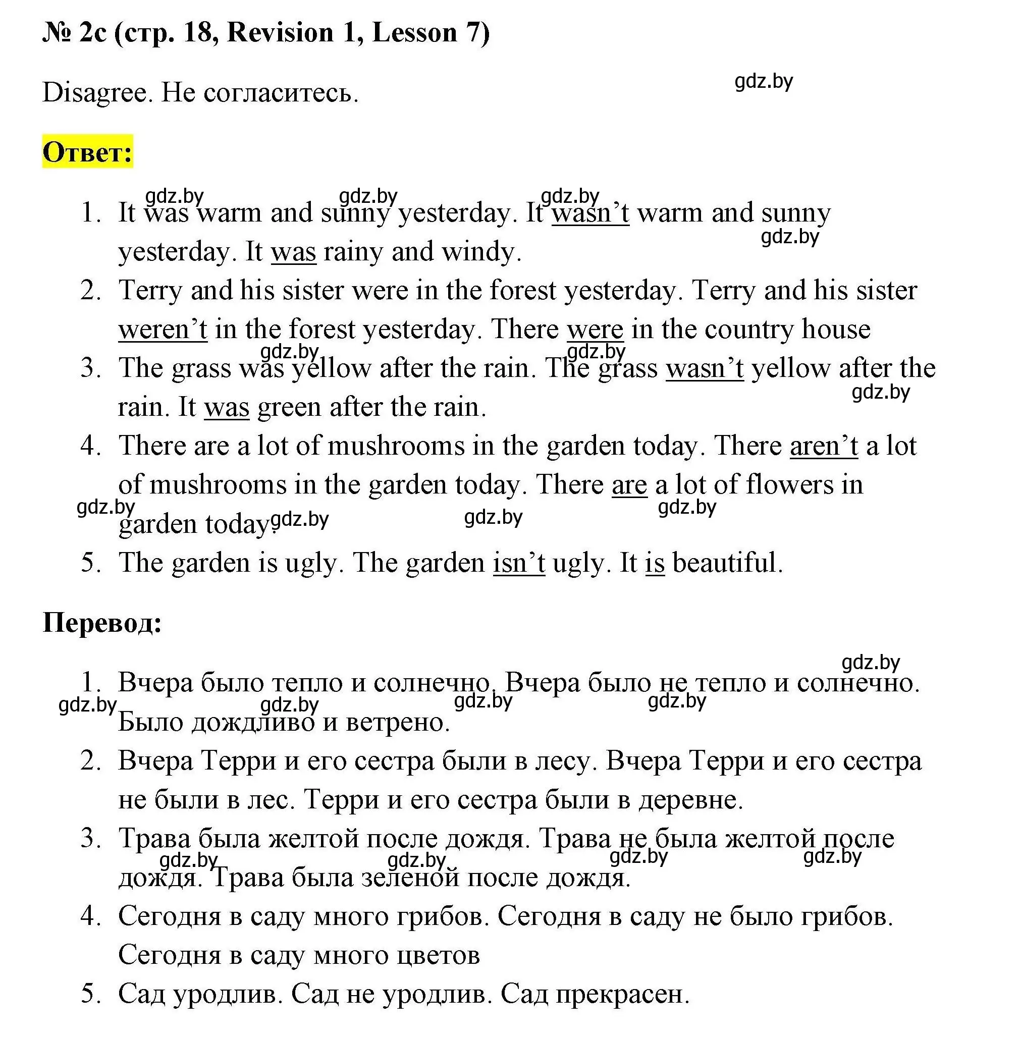 Решение номер 2c (страница 18) гдз по английскому языку 5 класс Севрюкова, практикум по грамматике