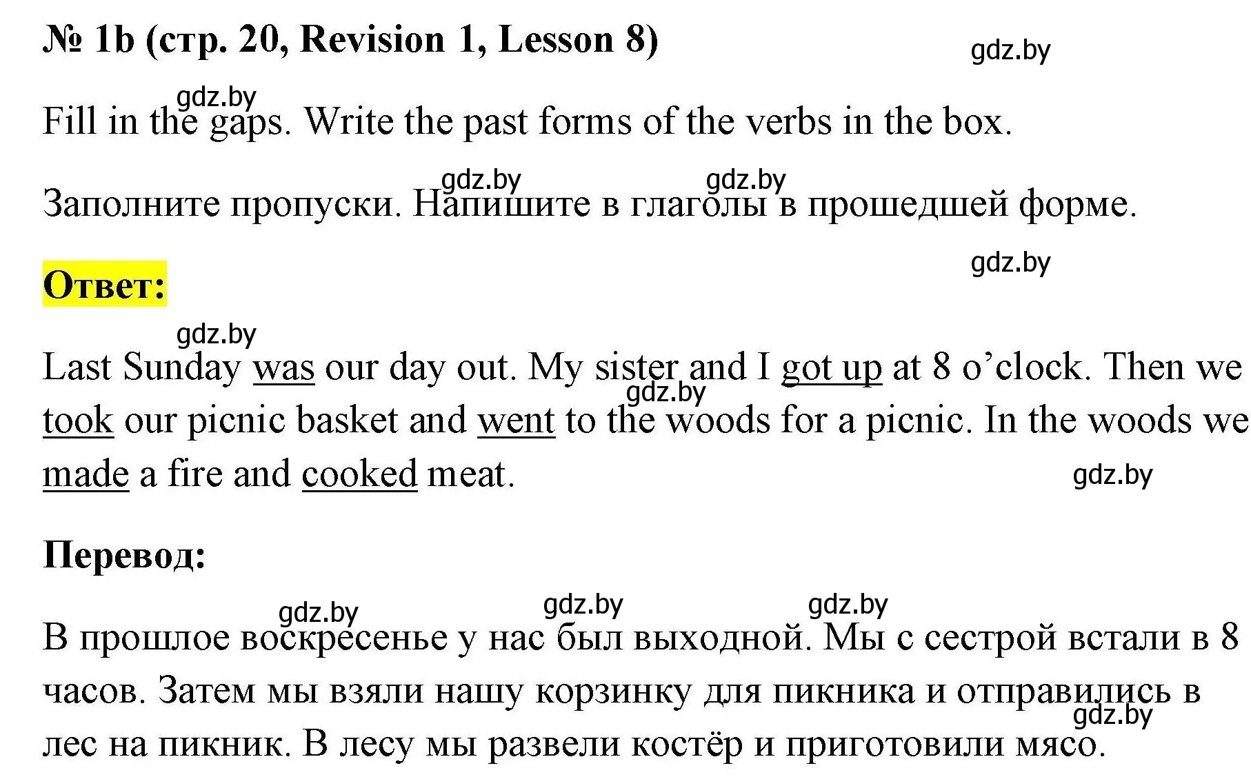 Решение номер 1b (страница 20) гдз по английскому языку 5 класс Севрюкова, практикум по грамматике