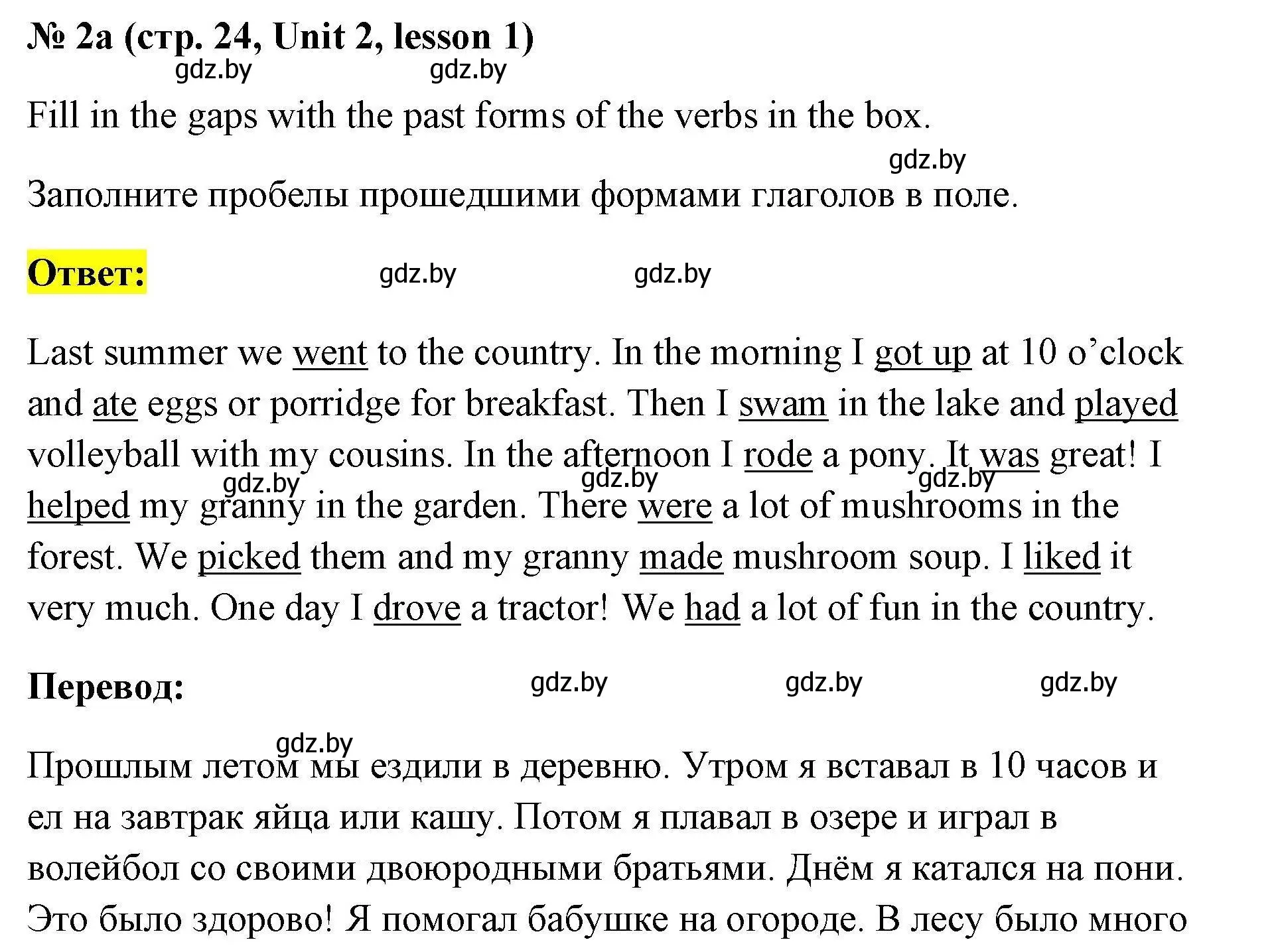 Решение номер 2a (страница 24) гдз по английскому языку 5 класс Севрюкова, практикум по грамматике