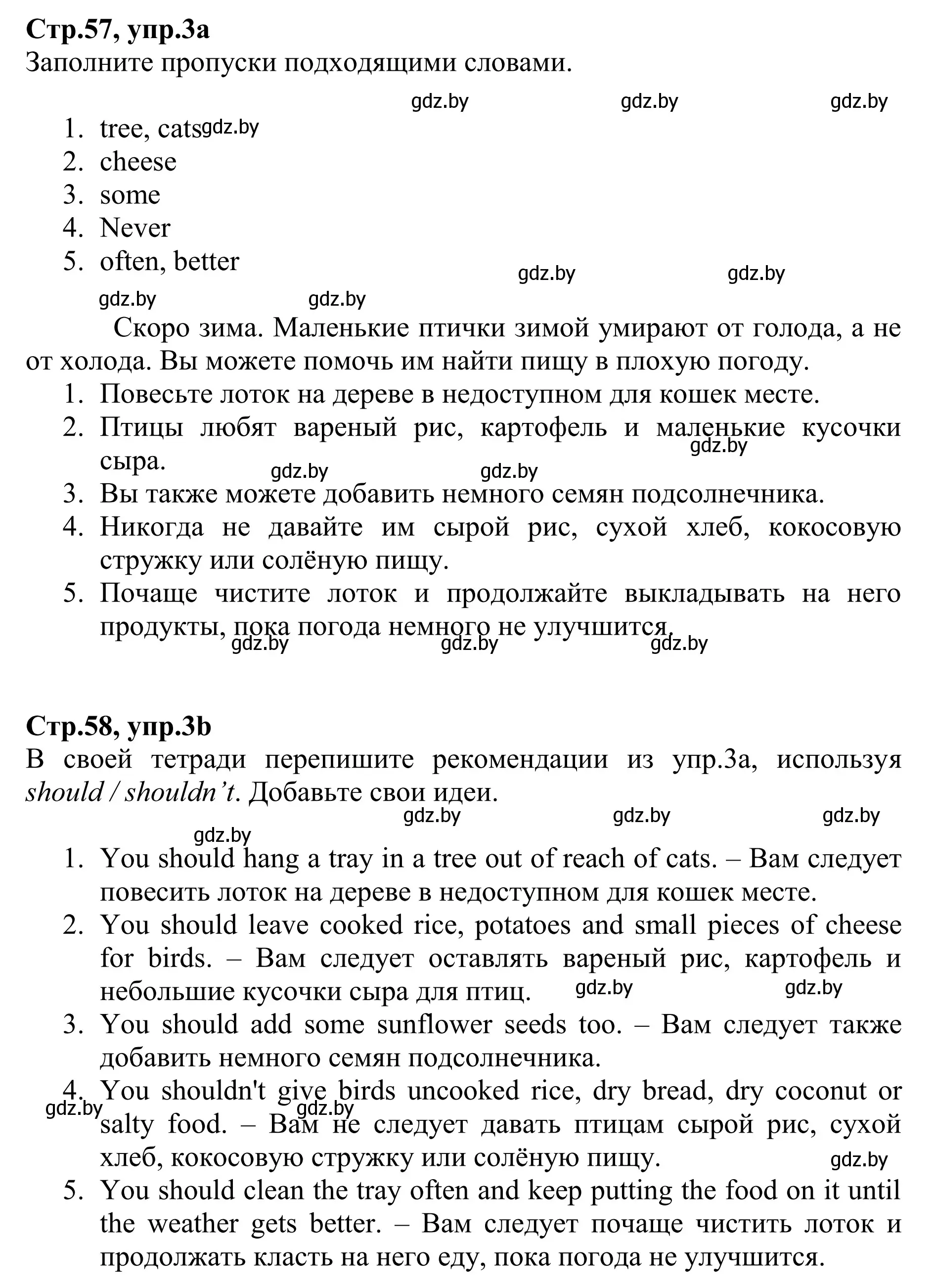 Решение номер 3 (страница 57) гдз по английскому языку 6 класс Юхнель, Наумова, рабочая тетрадь 1 часть