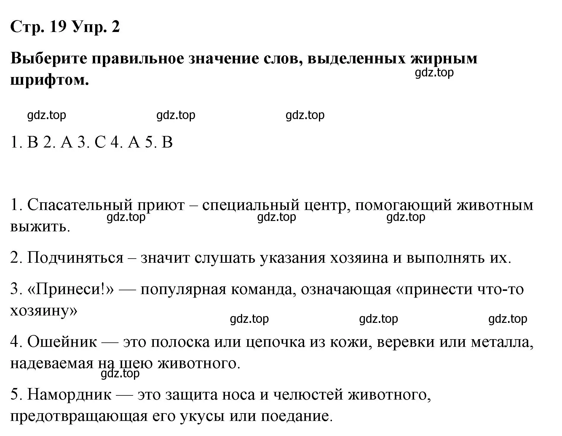 Решение номер 2 (страница 19) гдз по английскому языку 6 класс Демченко, Севрюкова, рабочая тетрадь 1 часть