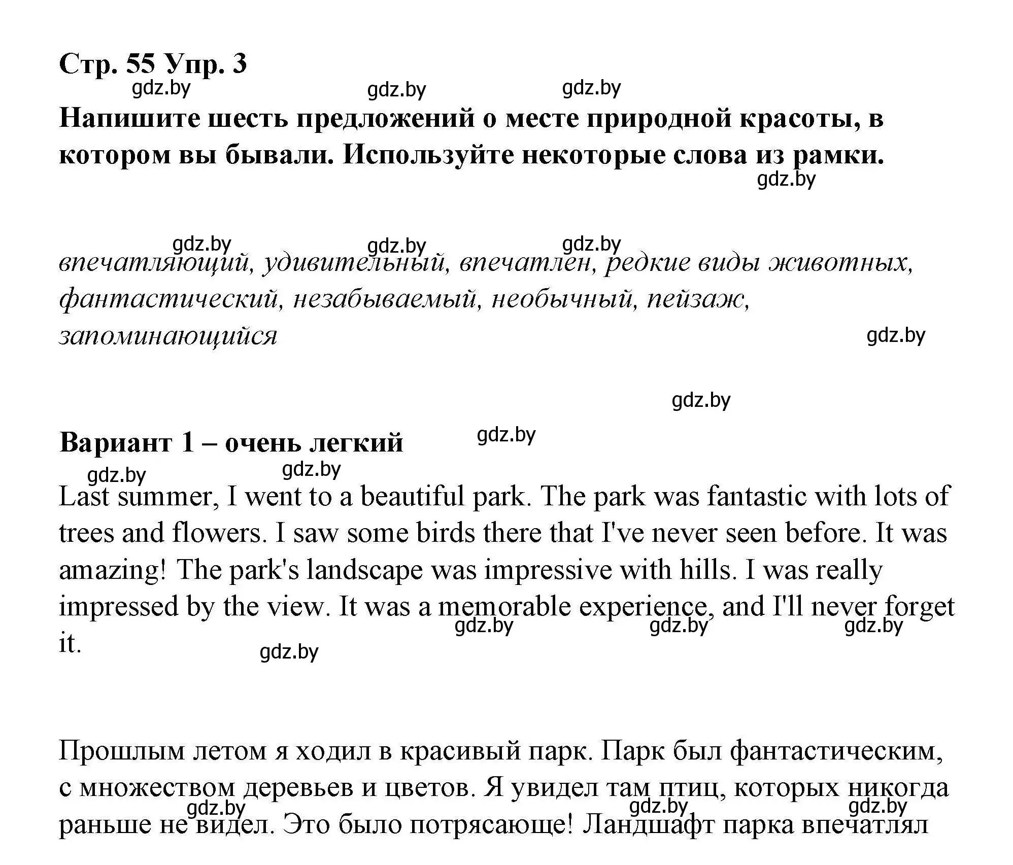 Решение номер 3 (страница 55) гдз по английскому языку 6 класс Демченко, Севрюкова, рабочая тетрадь 2 часть