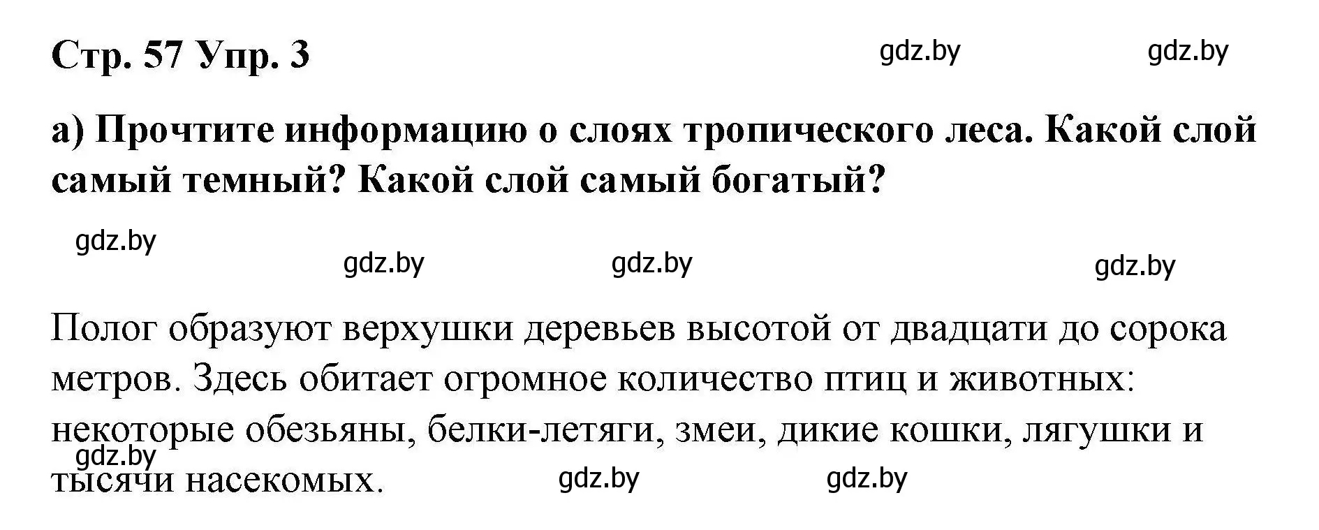 Решение номер 3 (страница 57) гдз по английскому языку 6 класс Демченко, Севрюкова, рабочая тетрадь 2 часть