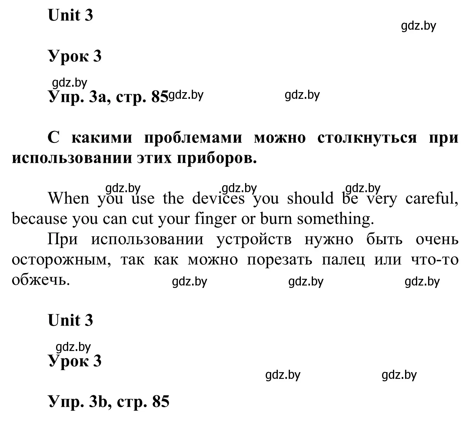 Решение номер 3 (страница 85) гдз по английскому языку 6 класс Демченко, Севрюкова, учебник 1 часть