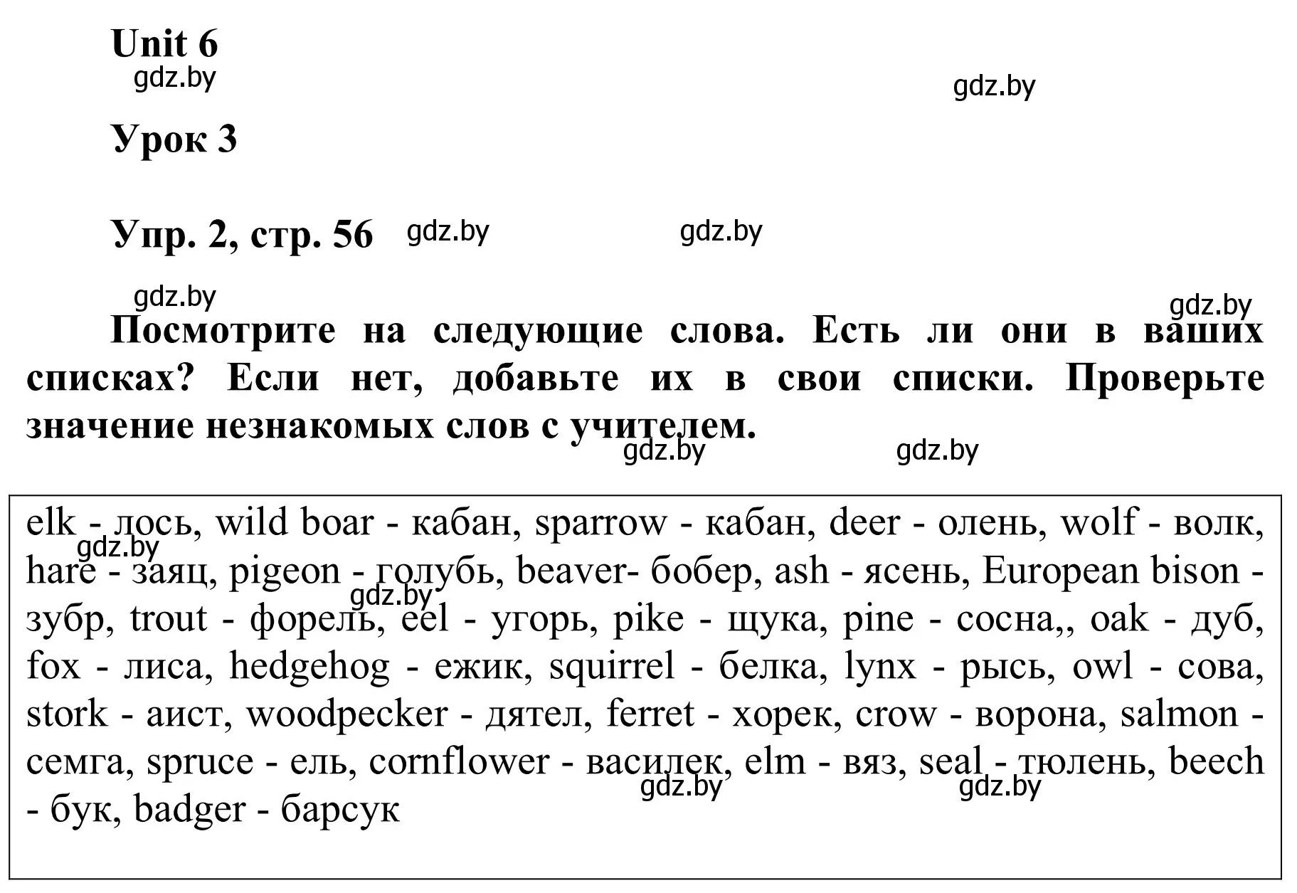 Решение номер 2 (страница 56) гдз по английскому языку 6 класс Демченко, Севрюкова, учебник 2 часть